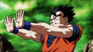 Dragon Ball Super: 5×48