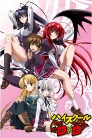 High School DxD